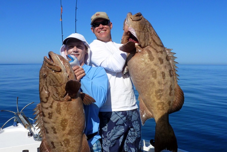 pesca deportiva en puerto peñasco