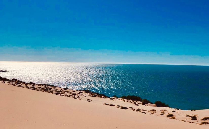 Playas limpias un patrimonio que Sonora puede presumir