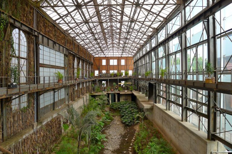 Jardín de la Biblioteca Vasconcelos: Un secreto en la CDMX