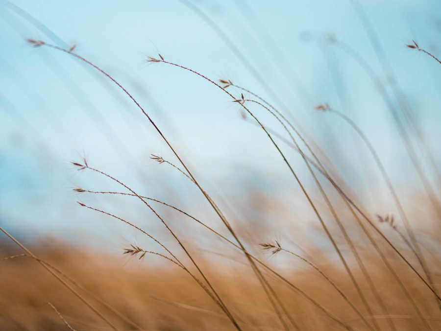 La paciencia y el silencio: virtudes de personas fuertes e inteligentes