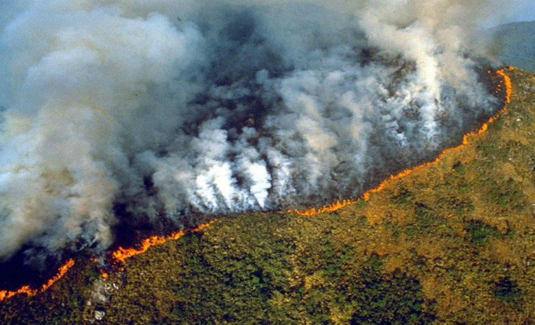Emergencia en el Amazonas; incendio consume miles de hectáreas