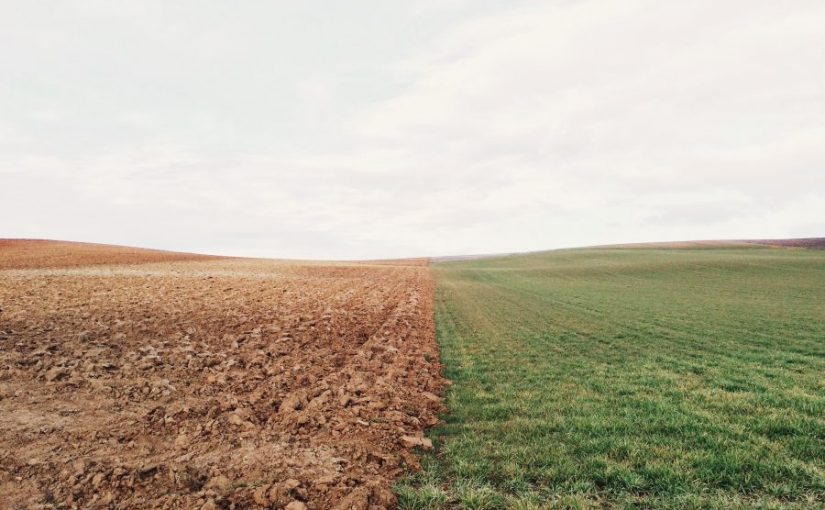 ¿Cuál es la importancia de cuidar el medio ambiente?