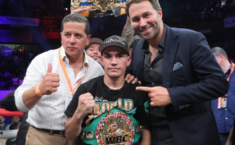 Boxeador sonorense Francisco "Gallo" Estrada defiende título mundial Supermosca de la WBC