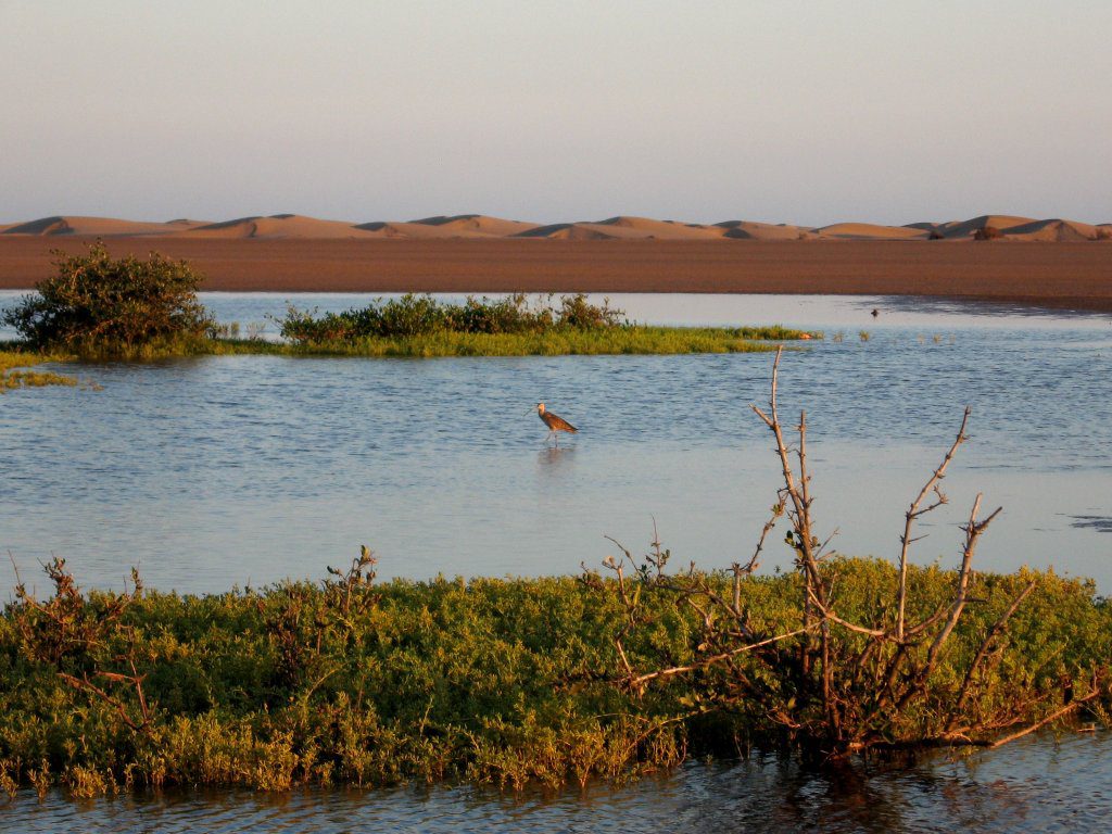 Estero Moroncárit