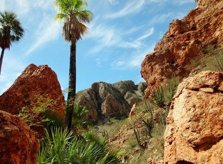 Cañón del Nacapule