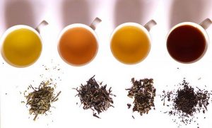 Características y propiedades del té