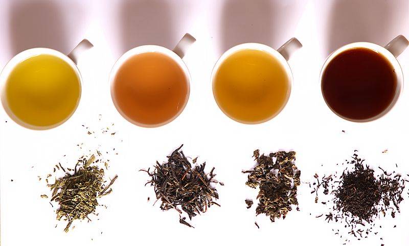 Características y propiedades del té