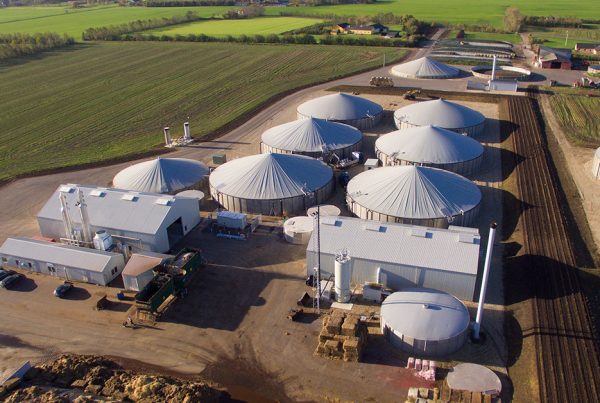 Biogás, una fuente de energía alternativa para México