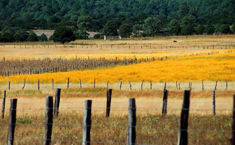 Breves financieras 24 de septiembre de 2019 por Luis Fernando Heras Portillo