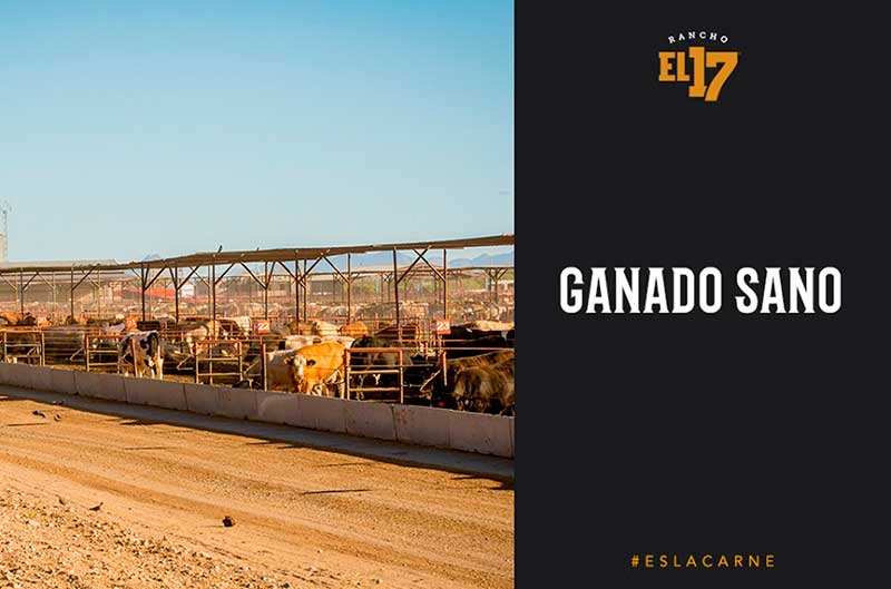 Rancho El 17