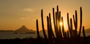 Turismo Digital: Presentan nueva plataforma para promocionar a México