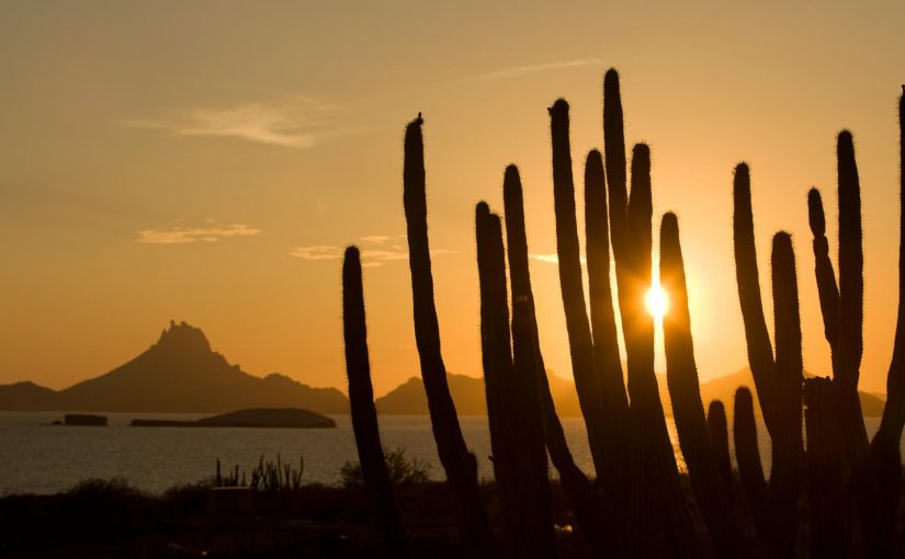 Turismo Digital: Presentan nueva plataforma para promocionar a México