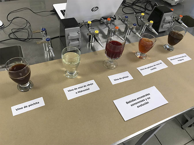 Preservan conocimiento de bebidas ancestrales de Sonora
