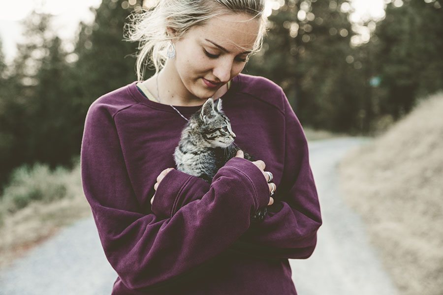 ¿Qué es la 'gatoterapia'? Conoce sus beneficios