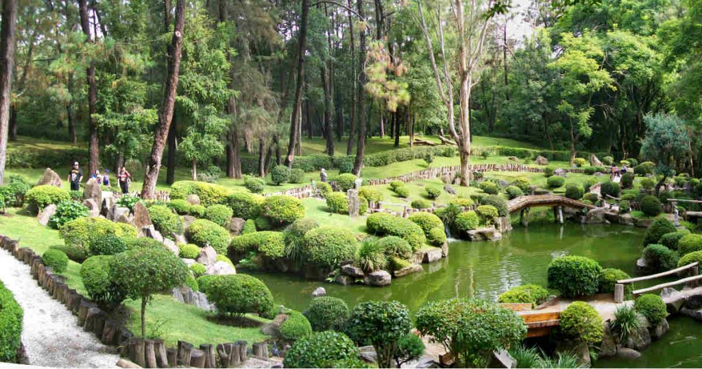 El jardín más grande del mundo se encuentra en México