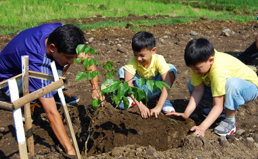 Este increíble proyecto busca que estudiantes planten árboles como requisito para graduarse