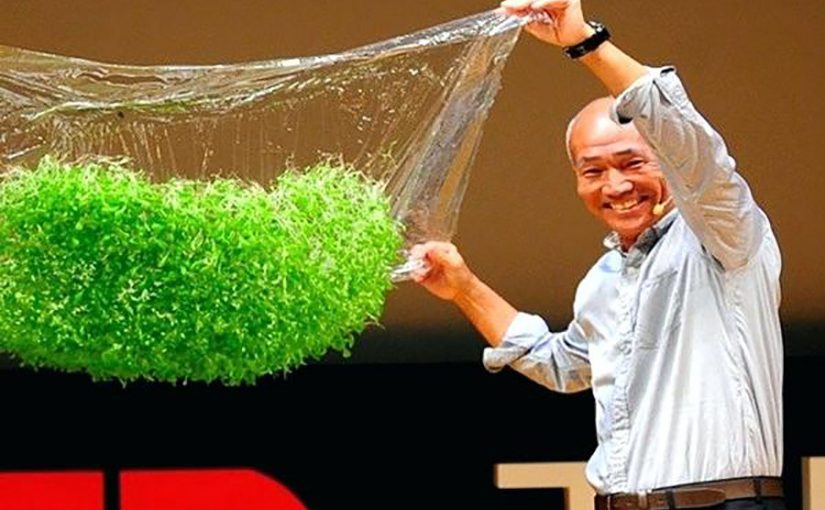 Japón revoluciona la industria agrícola con este novedoso método de cultivo