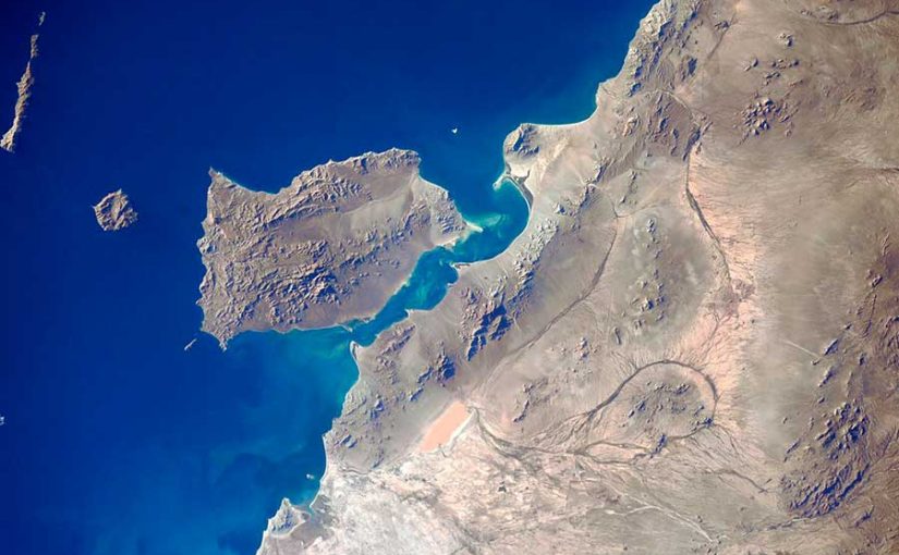 Dos Islas de Sonora preservan la biodiversidad mundial isla tiburon sonora méxico