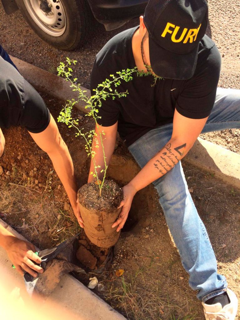 A FORESTAR HERMOSILLO SEBASTIÁN HERAS GASTÉLUM, JUVENTUD PROACTIVA, REDUCE TU HUELLA Y CAMINANTES DEL DESIERTO