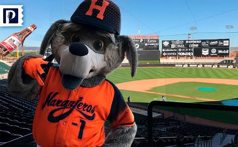 HISTORIA DE BETO COYOTE, LA MASCOTA MÁS QUERIDA DE HERMOSILLO