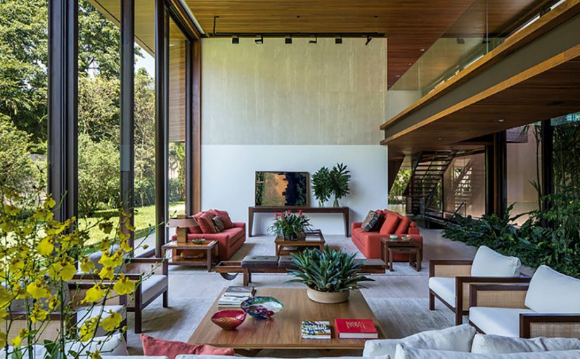13 tipos de plantas ideales para interiores