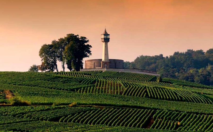 Champagne Conoce las 5 principales regiones de vino francés