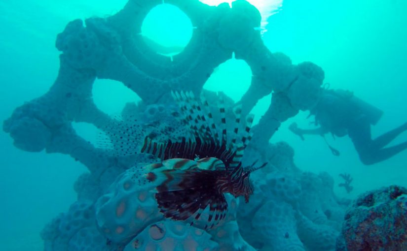 Arrecifes de coral impresos en 3D podrían salvar a los peces