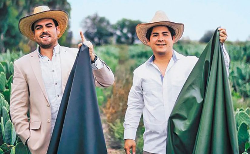 Jóvenes mexicanos crean piel orgánica hecha de nopal