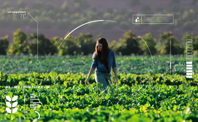 AGRICULTURA INTELIGENTE: LA NUEVA APUESTA DE MICROSOFT PARA COMBATIR LA CRISIS ALIMENTARIA