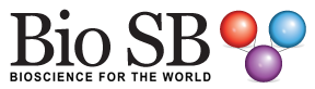 BIO SB, EMPRESA DE ORIGEN SONORENSE QUE APORTA A LA INVESTIGACIÓN, CIENCIA Y DIAGNÓSTICO DEL CÁNCER A NIVEL MUNDIAL ALONSO HERAS PORTILLO LUIS FERNANDO HERAS PORTILLO