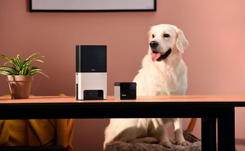 6 increíbles novedades tecnológicas para mascotas
