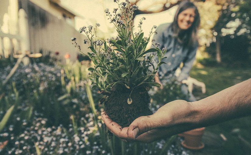 ¿Qué beneficios tiene la jardinería para nuestra salud?