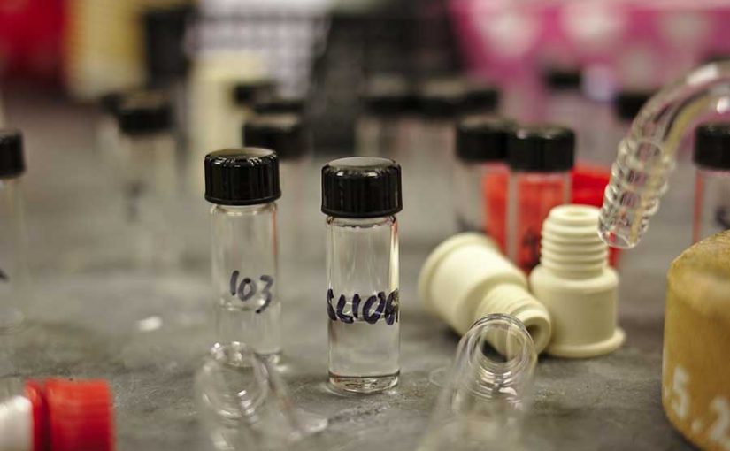 Científicos desarrollan bacteria que podría "comer" CO2 y ayudar a mitigar el cambio climático