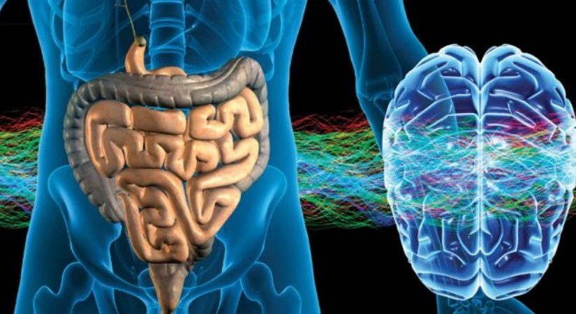 ¿Conoces la increíble conexión entre el cerebro, el estómago y las emociones?