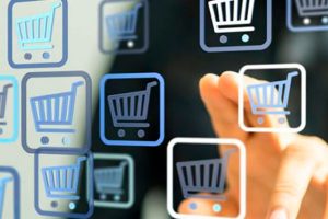 Capacitación y menores costos de envío podrían incrementar el e-commerce en México