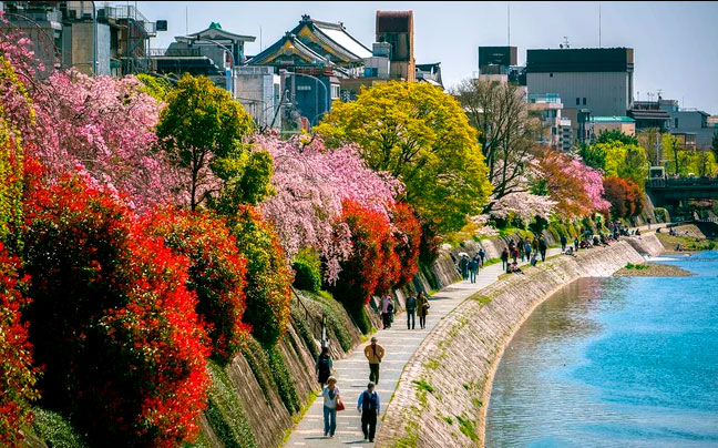 Estas son las 15 mejores ciudades para viajar kioto