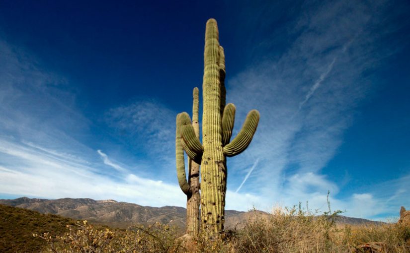 La gran fortaleza de los lazos que unen a la Megarregión Sonora Arizona luis fernando heras portillo sonora star