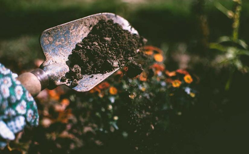 ¿Sabías que la jardinería puede beneficiar nuestra salud mental?