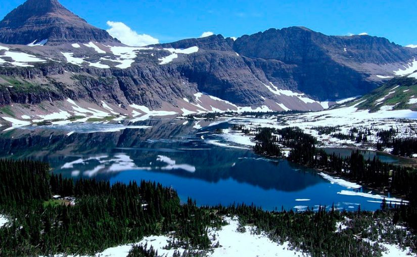 CIENTÍFICOS DESCUBREN QUE LOS RÍOS GLACIARES ABSORBEN MÁS CO2 QUE SELVAS Y BOSQUES