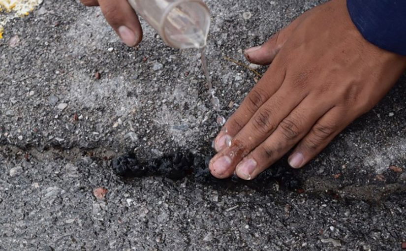 Mexicanos destacan en concurso internacional con proyectos ecológicos