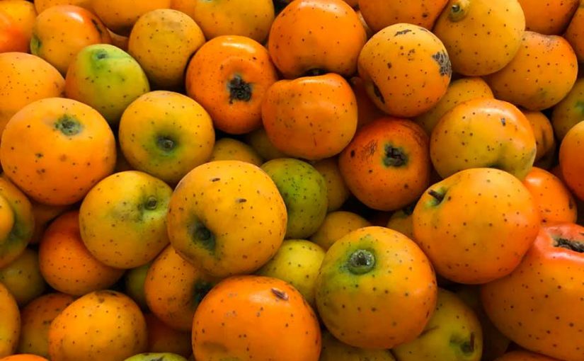 El tejocote, la fruta navideña de México