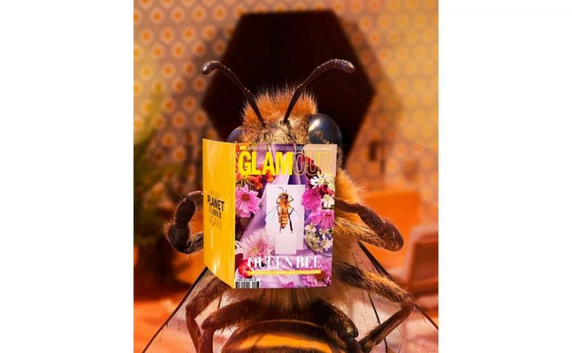 ‘B’: La abeja influencer más glamurosa