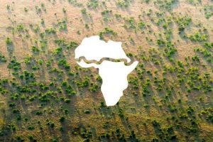 África pone el ejemplo y planta 8 mil kilómetros de árboles para construir la 'Gran Muralla Verde'