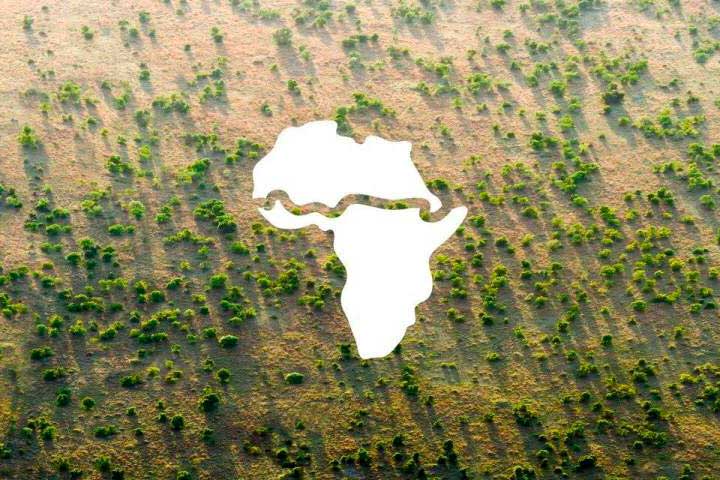 África pone el ejemplo y planta 8 mil kilómetros de árboles para construir la 'Gran Muralla Verde'