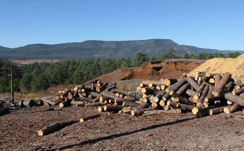 Breves financieras 20 de diciembre de 2019 por Luis Fernando Heras Portillo