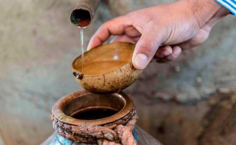 El mezcal es el alcohol más perfecto para consumo humano, señala estudio
