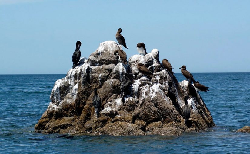 isla san jorge