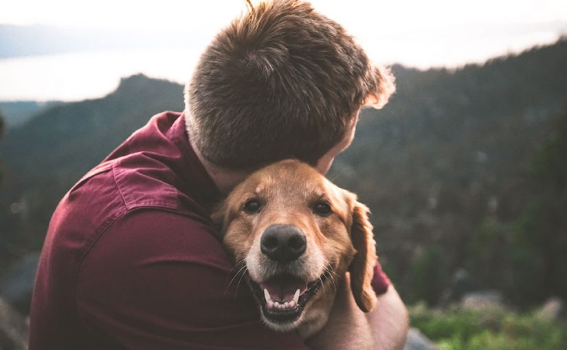 Photo by Eric Ward on Unsplash