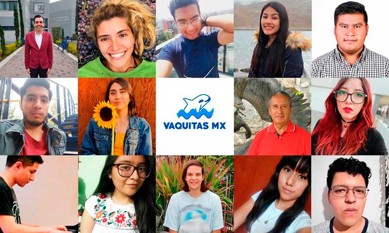 Vaquitas MX