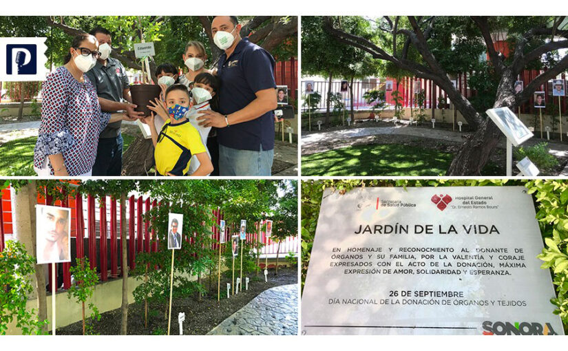 En el Jardín de la Vida del Hospital General en Hermosillo se han plantado 227 árboles en honor a donadores de órganos
